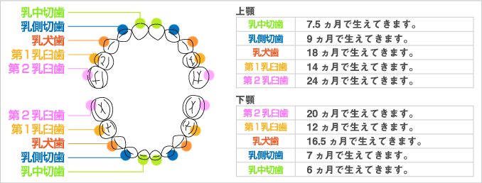 妊婦さんと赤ちゃんの歯について 歯科検診のお知らせ ブログ とよた歯科 堀江 南堀江の歯科医院 歯医者